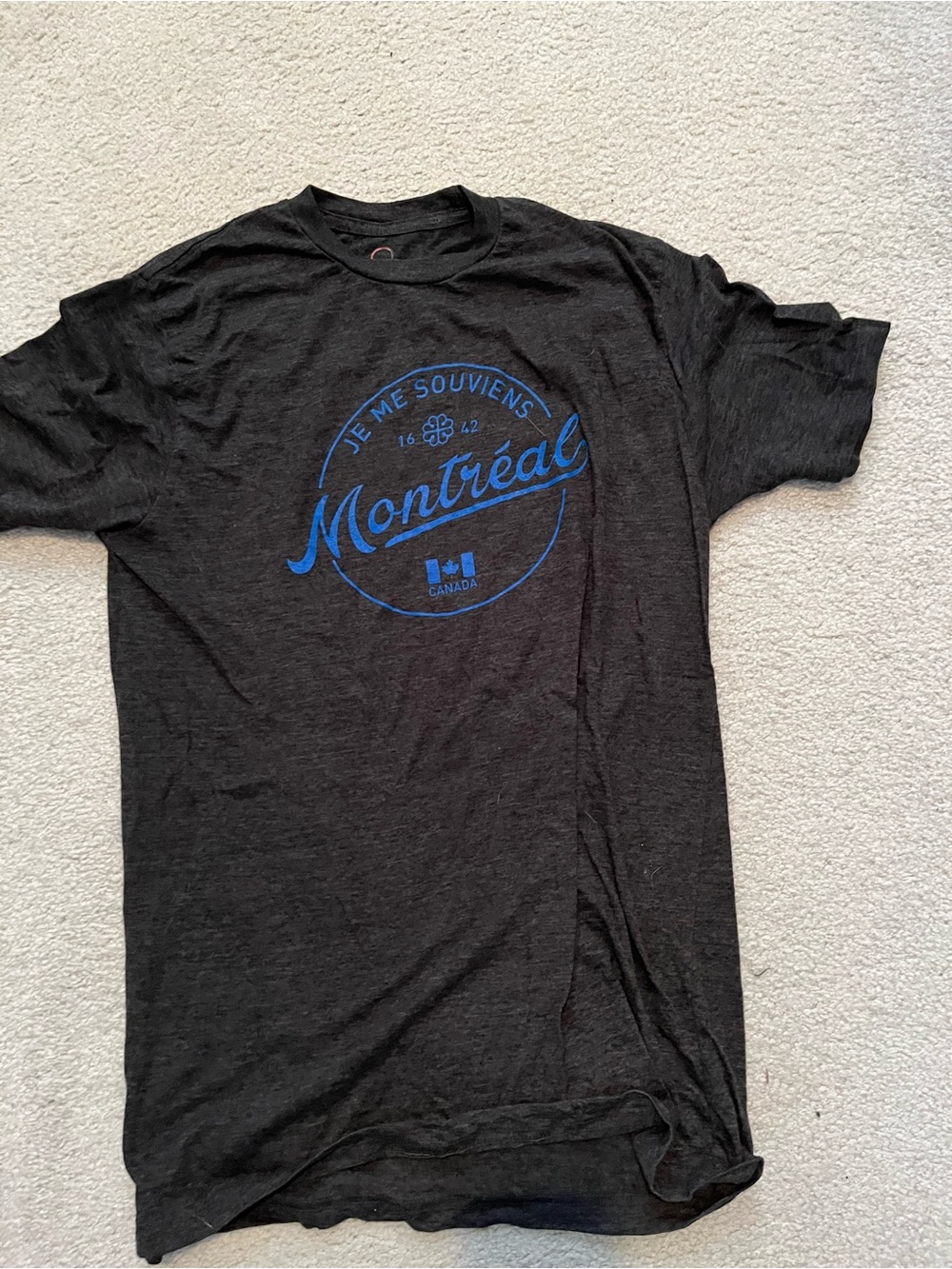 Men's large t-shirt